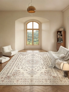 Detail of vintage French-style cream area rug with floral motifs in a modern living room