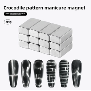 12-piece powerful rectangular nail magnet set for professional crocodile pattern effects