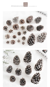 Detailed view of white frosted pine cones in various sizes for Christmas decor