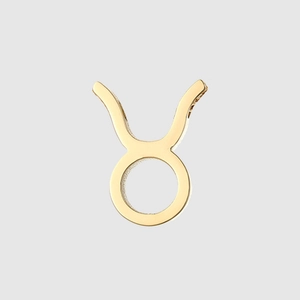 Gepolijste gouden Stier sterrenbeeld hanger accessoire van minimalistisch staal