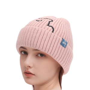 Detailed view of pink ribbed knit beanie featuring black dinosaur embroidery and blue tag