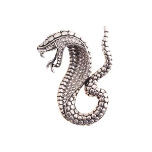 Silver snake enamel brooch pin featuring sparkling rhinestones on a white background