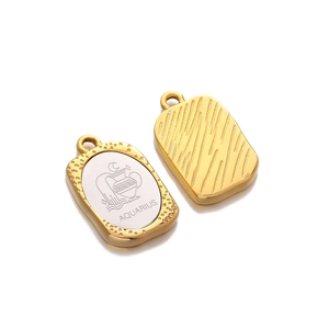 Polished stainless steel Aquarius zodiac pendant with a golden frame on white background