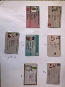 Detail showing Santa Claus sleigh flying licenses and elf reports in various colors