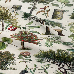 Detail of fabric texture showing vintage botanical illustrations of trees and leaves
