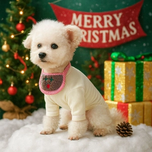 Poodle wearing beige knit shirt and brown reindeer Christmas bib in festive setting