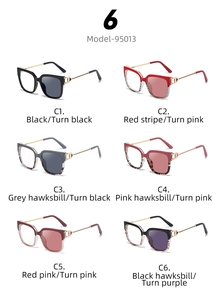 Cat eye optical frames Model-95013 in six different colors and photochromic lenses