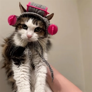 Funny pet knitted hat with pink hair rollers for cats and small dogs Halloween costume