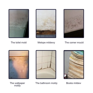 Mold cleaner spray for bathroom tiles, walls, and ceilings showing diverse usage scenarios