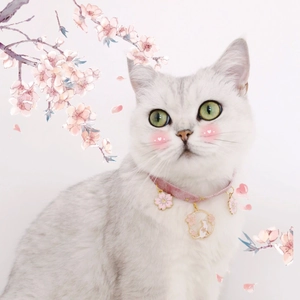 Pink velvet pet collar with sakura enamel pendant shown on a cat in Japanese style