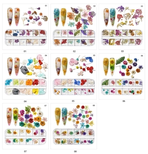 Detailed grid showing 12-slot boxes of colorful dried flowers for nail art decoration