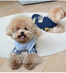 Detail of trendy pet hoodies featuring faux two-piece design with plaid shirt sleeves