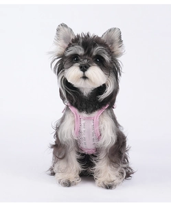 Haut rose pour animaux avec velours côtelé, dentelle et volants pour chiens et chats