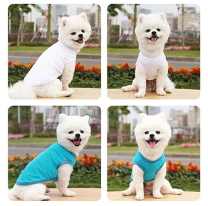 Breathable cotton pet vest in white and lake blue shown on a dog in an outdoor park setting