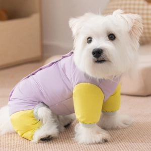 Combinaison d'hiver matelassée violette et jaune pour chiens de petite taille