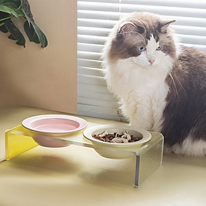 Ceramic UFO pet bowl set with inclined acrylic stand and two colorful feeding bowls