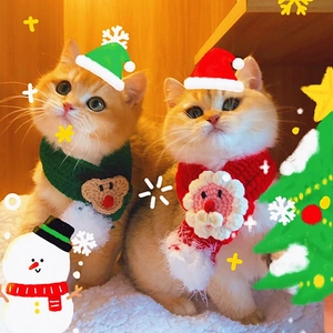 Detail of red Santa and green reindeer knitted scarves for small pets festive outfits