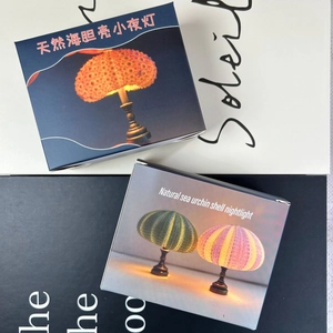 Minimalist vintage natural sea urchin shell night light in artistic packaging display