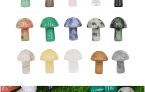 Collection of 15 mini natural stone mushrooms with labels including Opal and Malachite