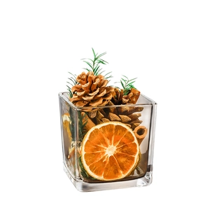 Aromatic cinnamon and pine cone reed diffuser set in a square glass aromatherapy cup