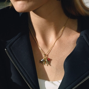 Detail of gold titanium necklace featuring elephant, horn and evil eye charms with red beads