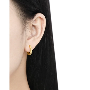 Minimalist gold S925 silver hoop earrings with delicate pavé micro-inlaid zircon