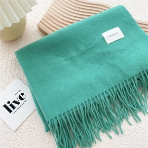 Close-up of mint green fringe scarf with woven label on a textured background