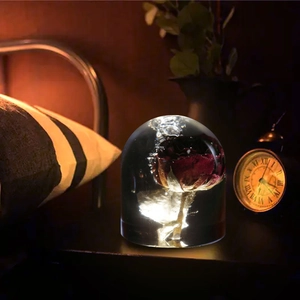 Preserved red rose crystal dome lamp with warm LED base on a bedside table nightstand