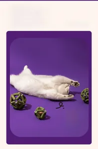 Σετ τριών μπαλών με catnip για καθαρισμό δοντιών και διαδραστικό παιχνίδι για γάτες