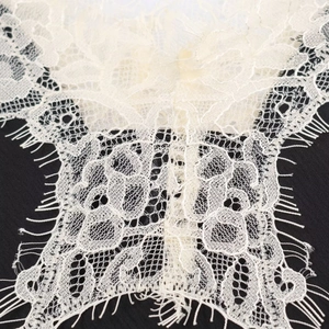 Detailed macro view of eyelash lace trim with fine weaving in cream and black