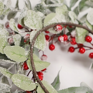 Christmas wreath with green eucalyptus leaves, red berries and artificial snow detail