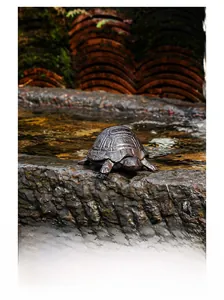Close-up of vintage cast iron turtle storage box with weathered texture on stone steps