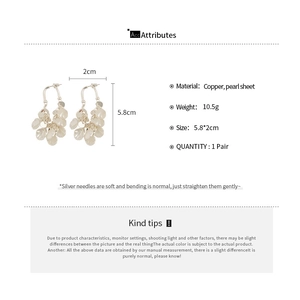 Tableau des tailles détaillé des boucles d'oreilles perles argentées avec specs du produit