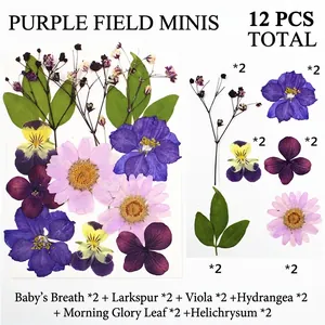 Dettaglio macro del kit di fiori secchi viola con ortensie e speronella per fai-da-te