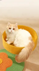 Cama para gatos de calabaza en felpa amarilla con base de flores para mascotas pequeñas