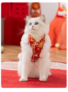 Detail of red festive pet Tang suit with golden embroidery and white plush collar trim