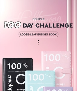 Multiple colors of 100 Day Challenge loose-leaf budget books for cash savings tracking