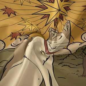 Detail of bohemian tapestry fabric showing abstract cat illustration and starry sky