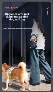 Detail view of the yellow breathable harness and retractable black leash on a Shiba Inu