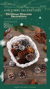 Détail de pommes de pin naturelles et enneigées dans un panier en coton tressé