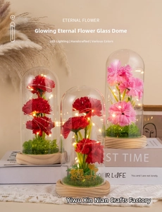 Preserved carnation in glowing glass dome with LED lights and wooden base detail