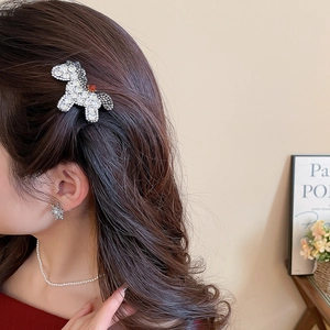 Close-up of a sparkling rhinestone horse hair clip worn by a model in a warm setting