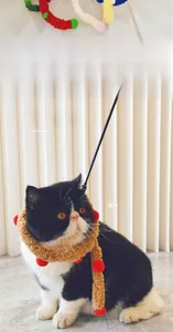 Black and white cat wearing a brown plush caterpillar interactive toy with red pom poms