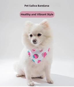 Close-up of white pet bandana with pink strawberry prints on a white Pomeranian dog