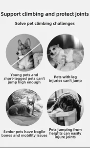 Detail showing pet stairs benefits for injured pets and small dogs climbing to the sofa