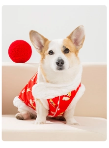 Dettaglio del gilet rosso per cani con collo in pelliccia sintetica e corgi