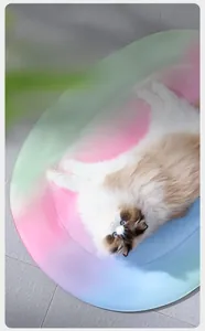 Rainbow gradient pet cooling mat with a cat lying on a comfortable gel surface