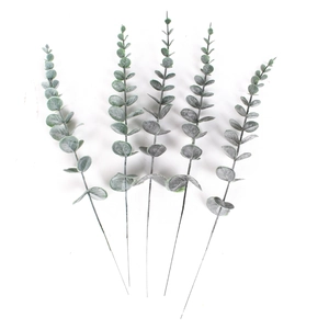 Detail of five artificial eucalyptus stems with realistic frosted grey-green leaves