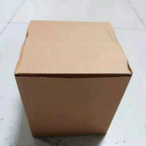 Brown resin animal skull model in secure cardboard shipping box packaging