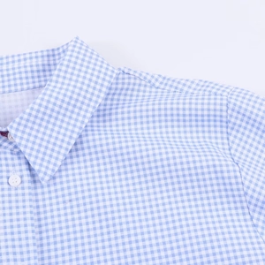 Detail view of the V-neck collar and white buttons on a blue and white gingham shirt